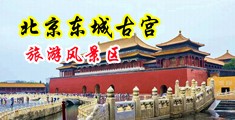 草比黄网中国北京-东城古宫旅游风景区
